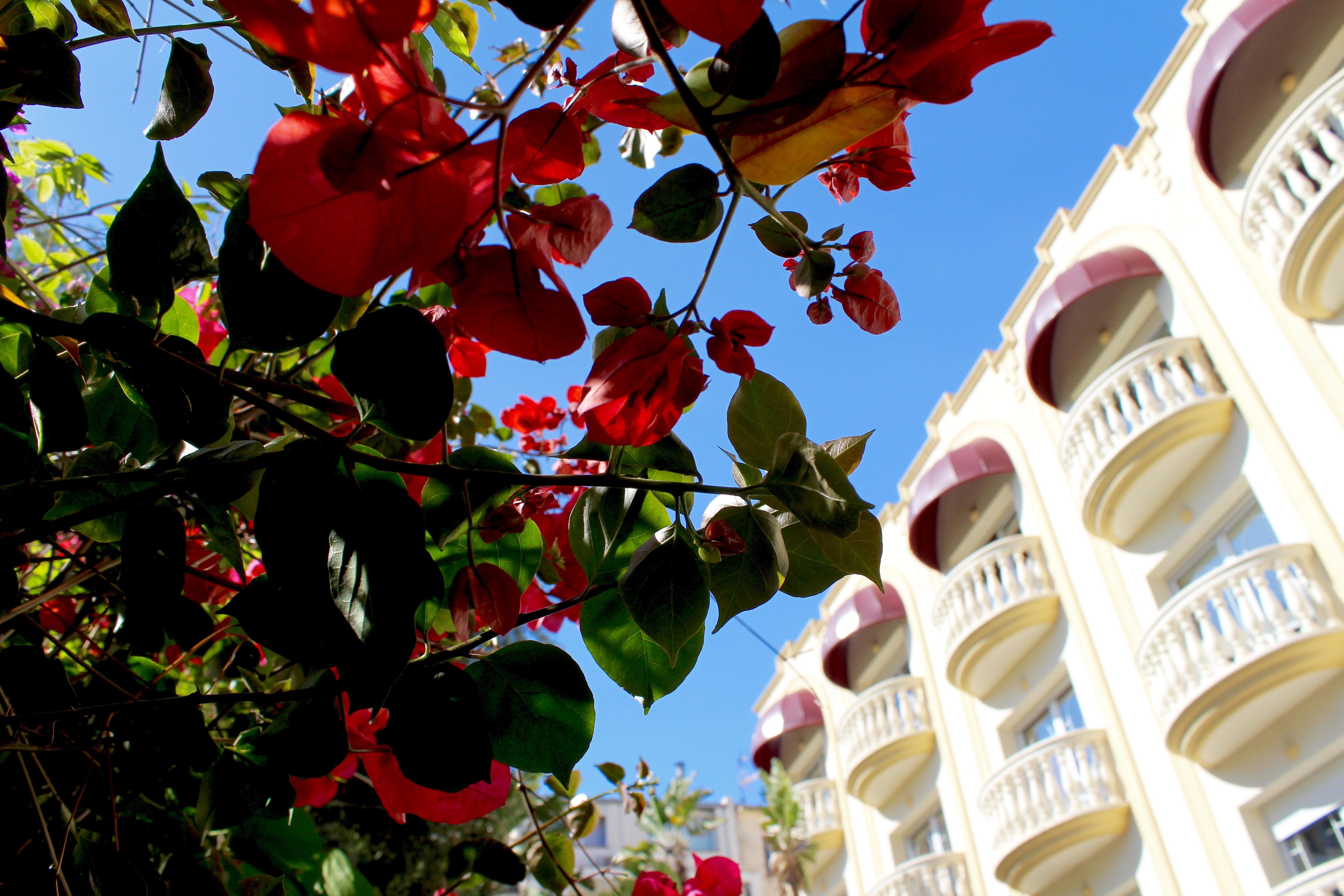 Urh Sitges Playa Hotel Bagian luar foto
